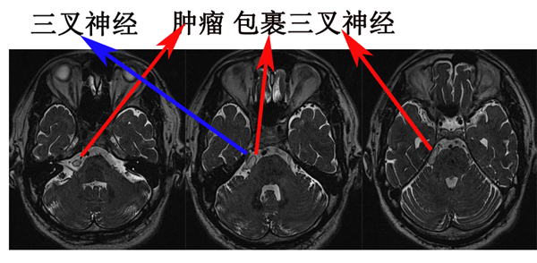 QQ图片20220901112054_副本.png