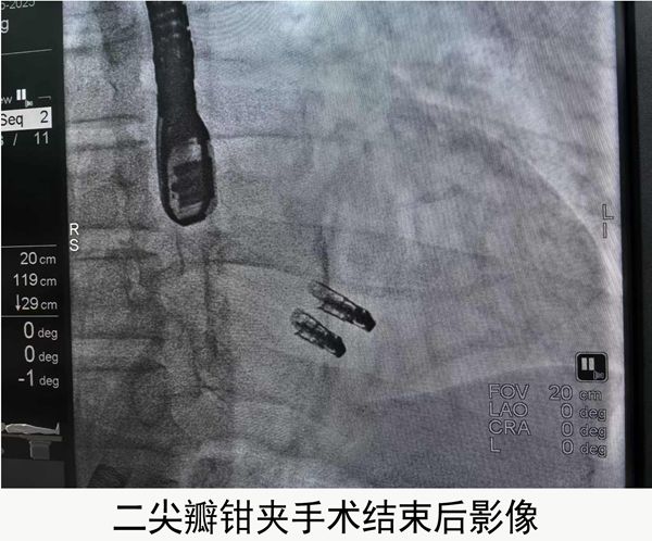 微信图片_20250220141217_副本.jpg